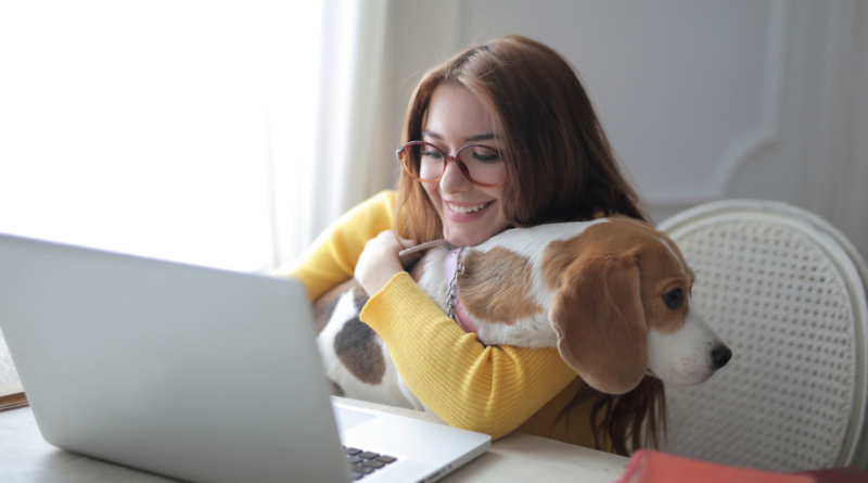 As melhores atividades paralelas para amantes de animais
